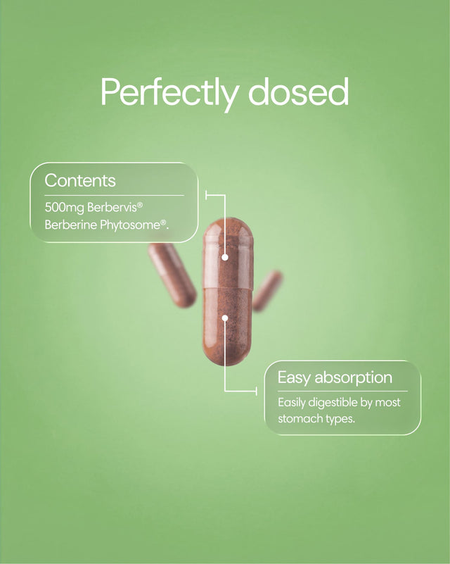 Clearly Berberine capsules in a blister pack, showing the golden-brown supplement capsules for dietary health support.