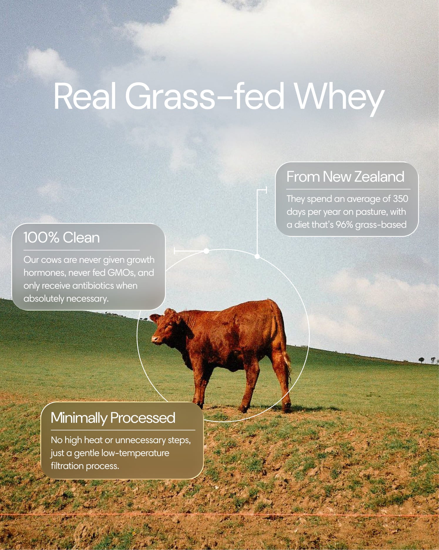 Grass-fed Whey